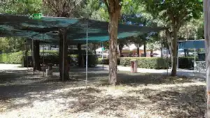 246136786.jpg