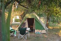 Villaggio Camping Maris - Zeltplätze im Schatten der Bäume auf dem Campingplatz