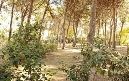 Sentinella Village Camping