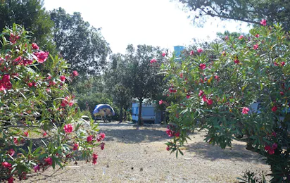 Villaggio Camping Tesonis