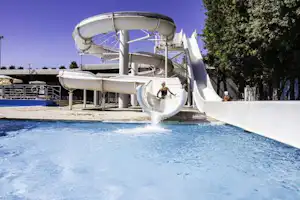 311536186.jpg
