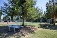 Villaggio Turistico Camping Summerland  - Tischtennis und Sportplätze auf dem Campingplatz