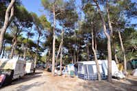 Villaggio Turistico Europa  -  Stellplatz vom Campingplatz zwischen Bäumen