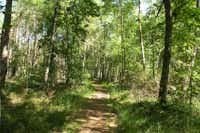 Vilshärads Camping - Spazierwege im Wald in der Umgebung des Campingplatzes