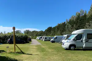 Vilshärads Camping - Standplätze auf grüner Wiese