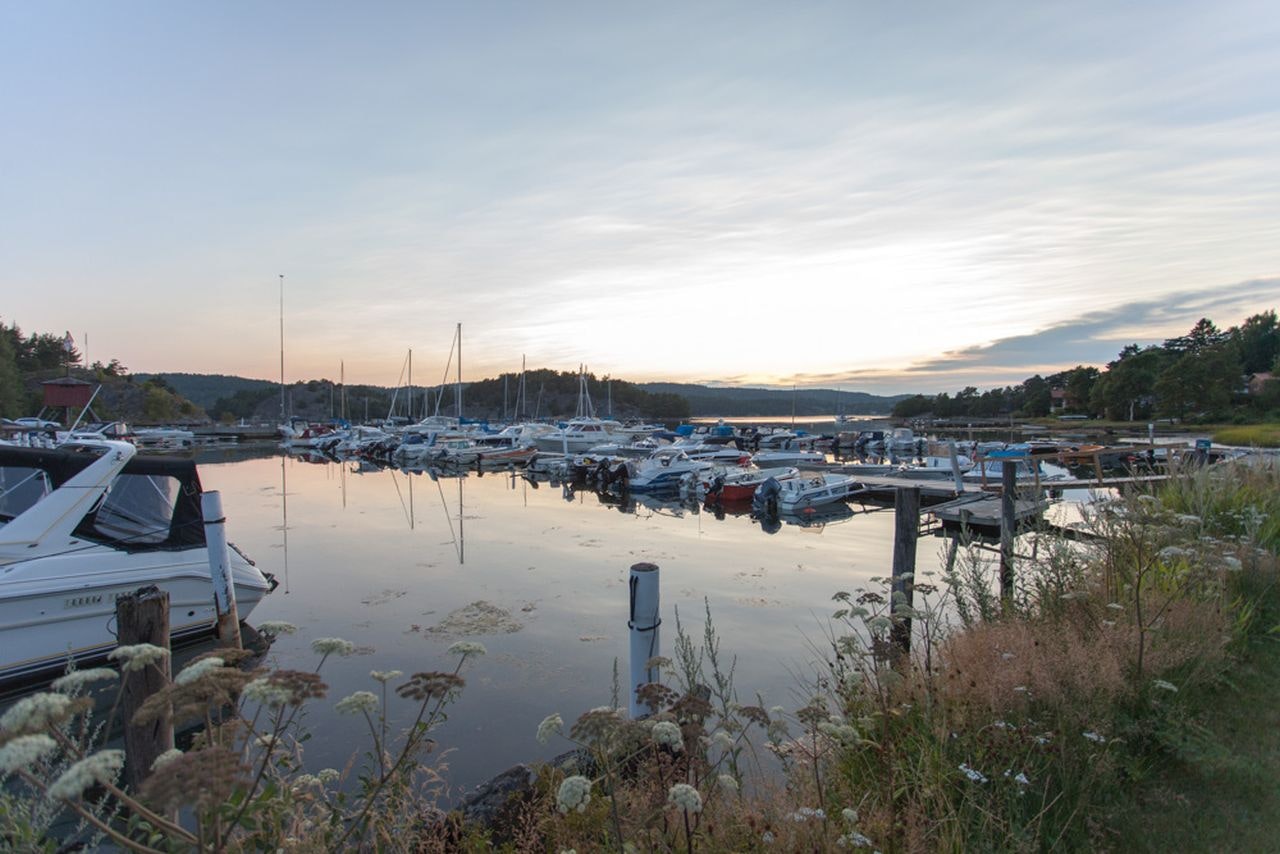 Bootshafen am Campingplatz mit vielen Segelbooten, Stegen und Wasser bei Sonnenuntergang, im Hintergrund Ufer und Bäume.