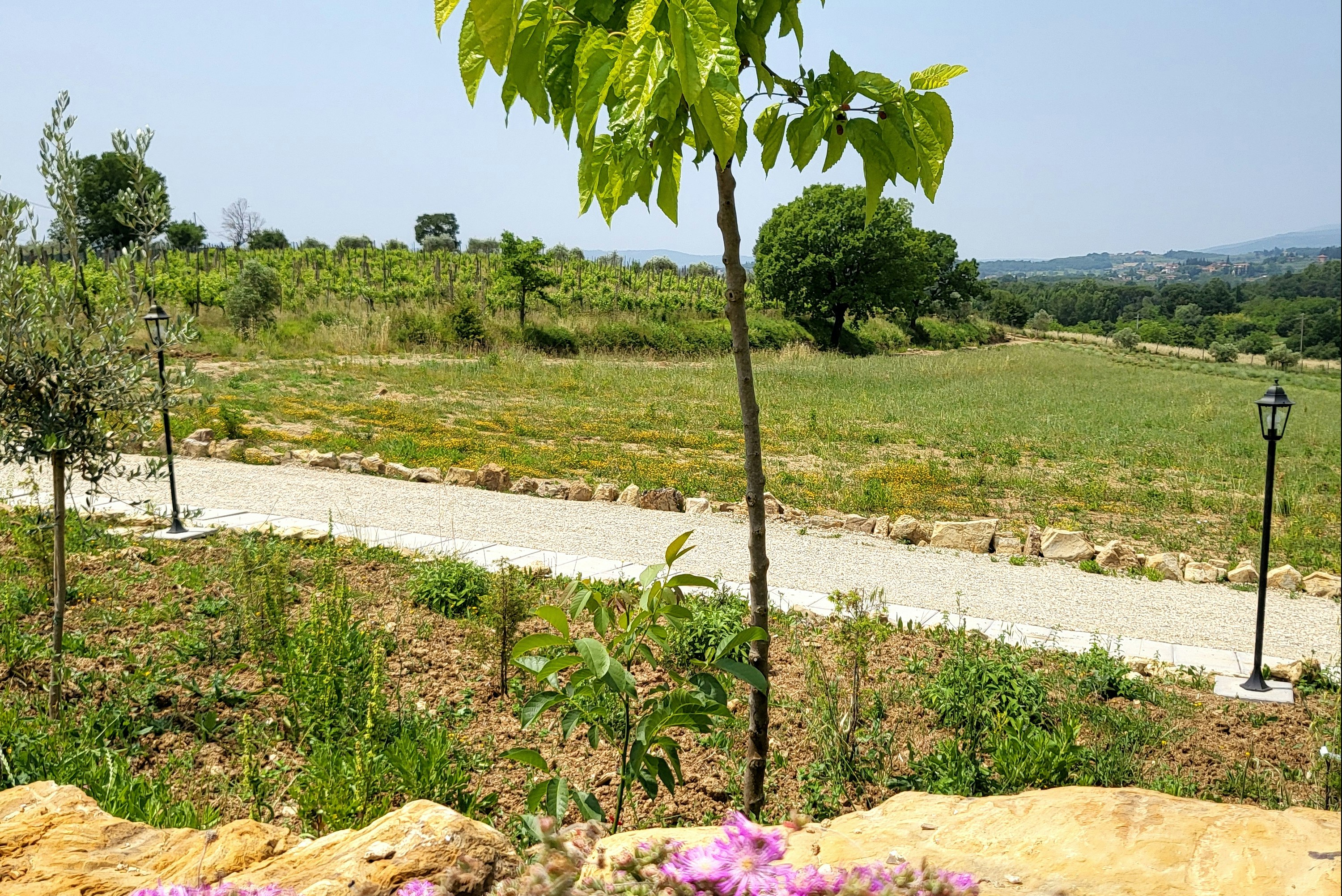 Viovillas Country House Arezzo - Blick auf den Campingplatz