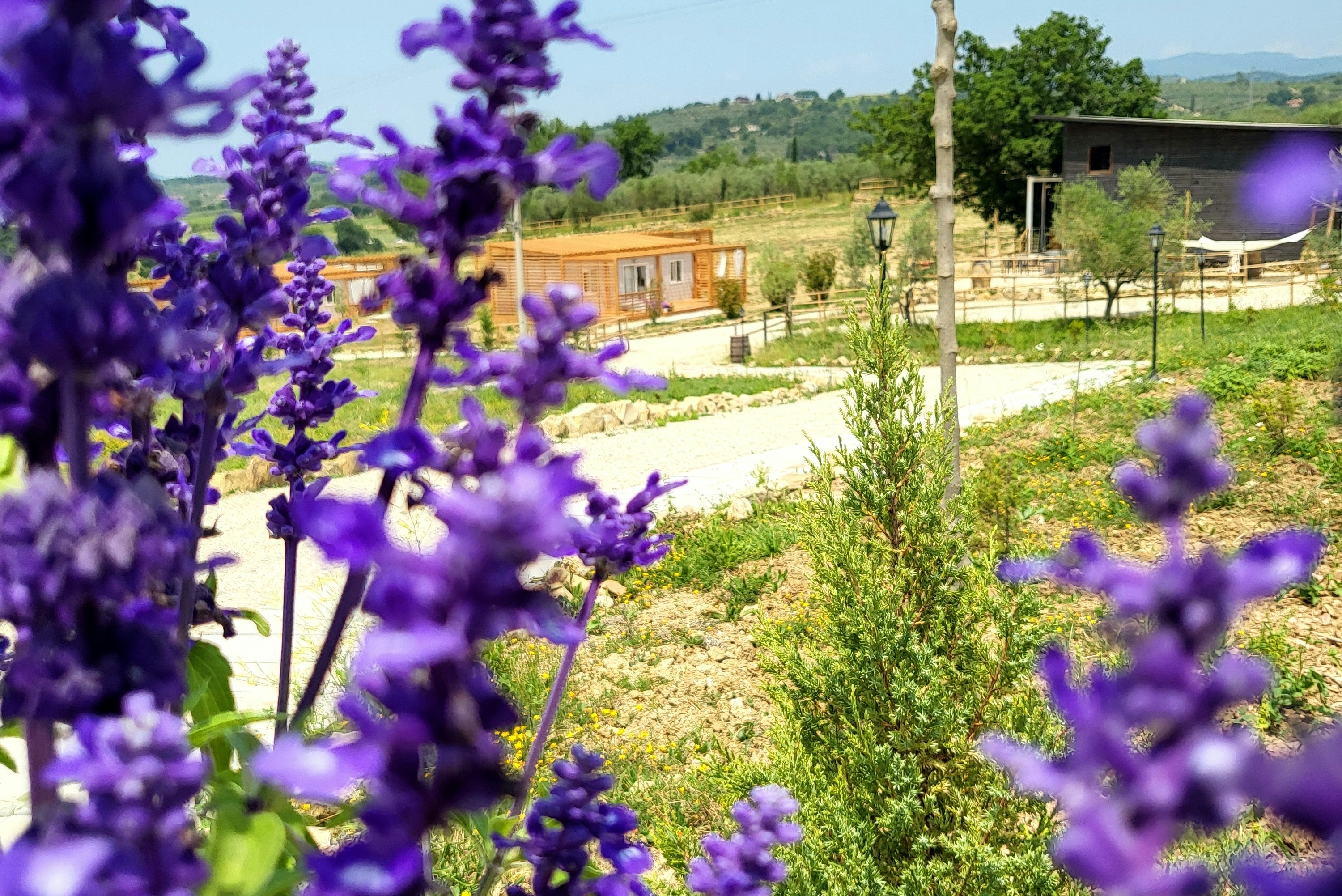 Viovillas Country House Arezzo - Blick auf den Campingplatz