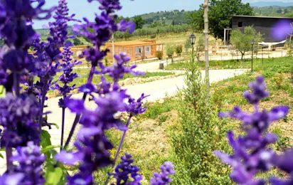 Viovillas Country House Arezzo