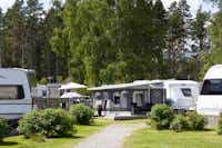 Vita Sandars Camping - Standplätze auf dem Campingplatz