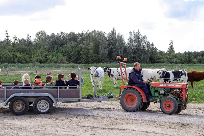 Vodatent @ (Boerderij)Camping de Hinde - Traktorfahrten für Kinder