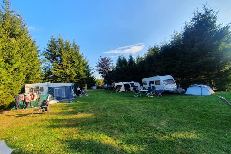 Vodatent @ Camping de Bongerd - Blick auf die Stellplätze auf der Wiese