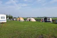 Vodatent @ Camping de Speld - Zelt- und Standplatzwiese auf dem Campingplatz