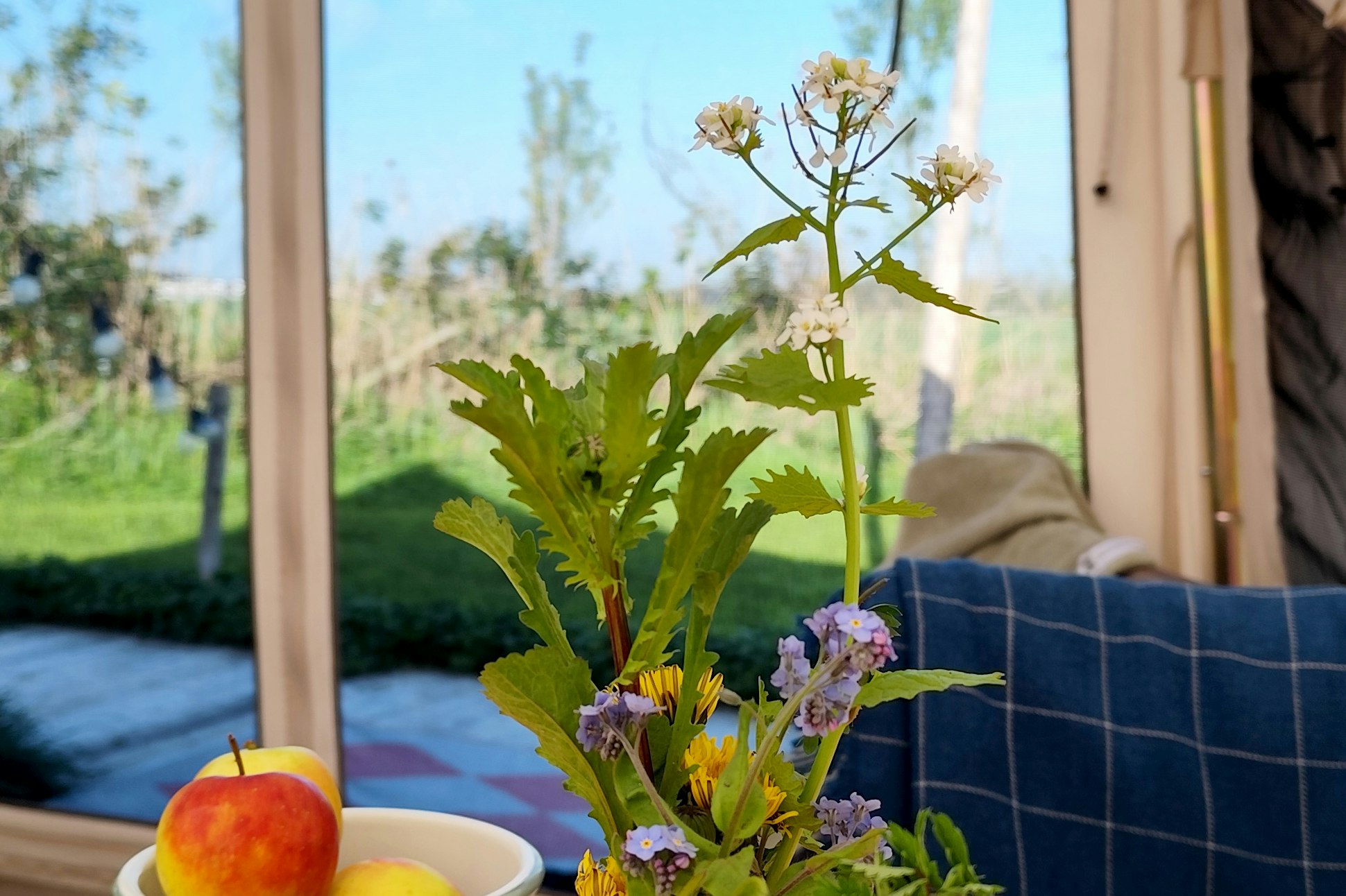 Voedselbos Camping Koperwiek - Aussicht aus einer Glamping-Unterkunft