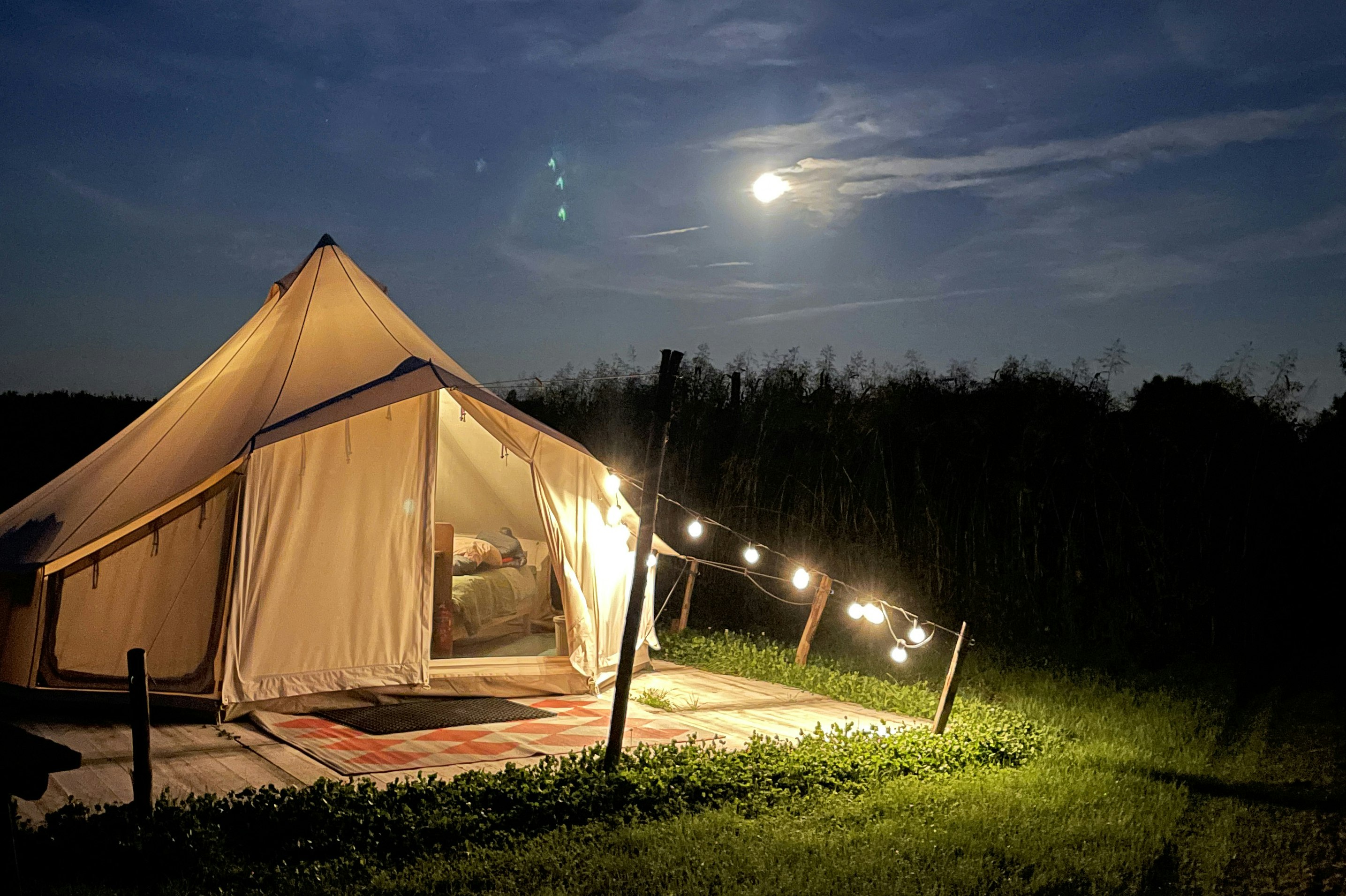 Voedselbos Camping Koperwiek