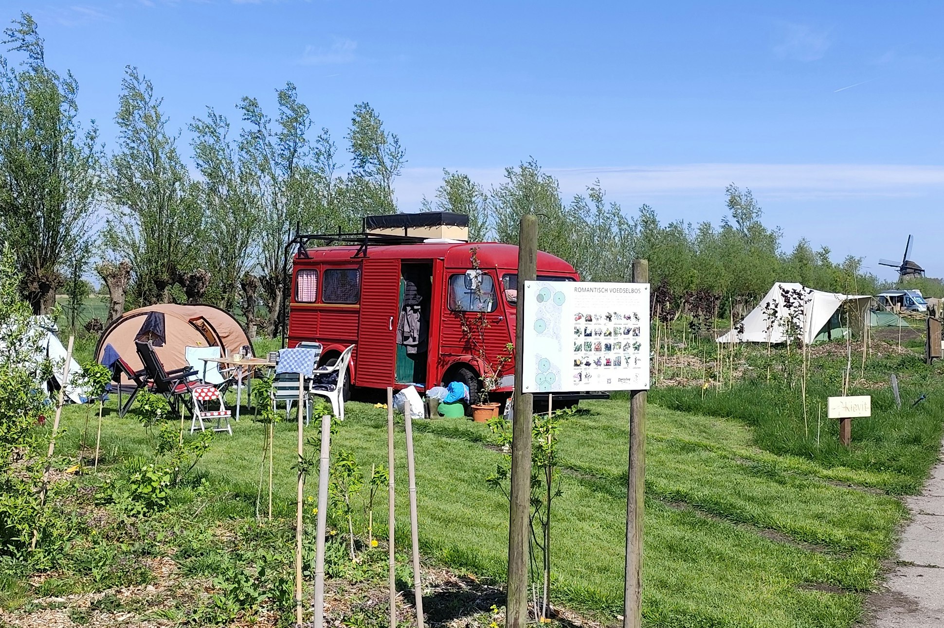 Voedselbos Camping Koperwiek - Standplätze auf dem Campingplatz