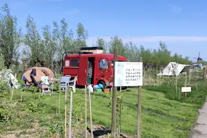 Voedselbos Camping Koperwiek - Standplätze auf dem Campingplatz