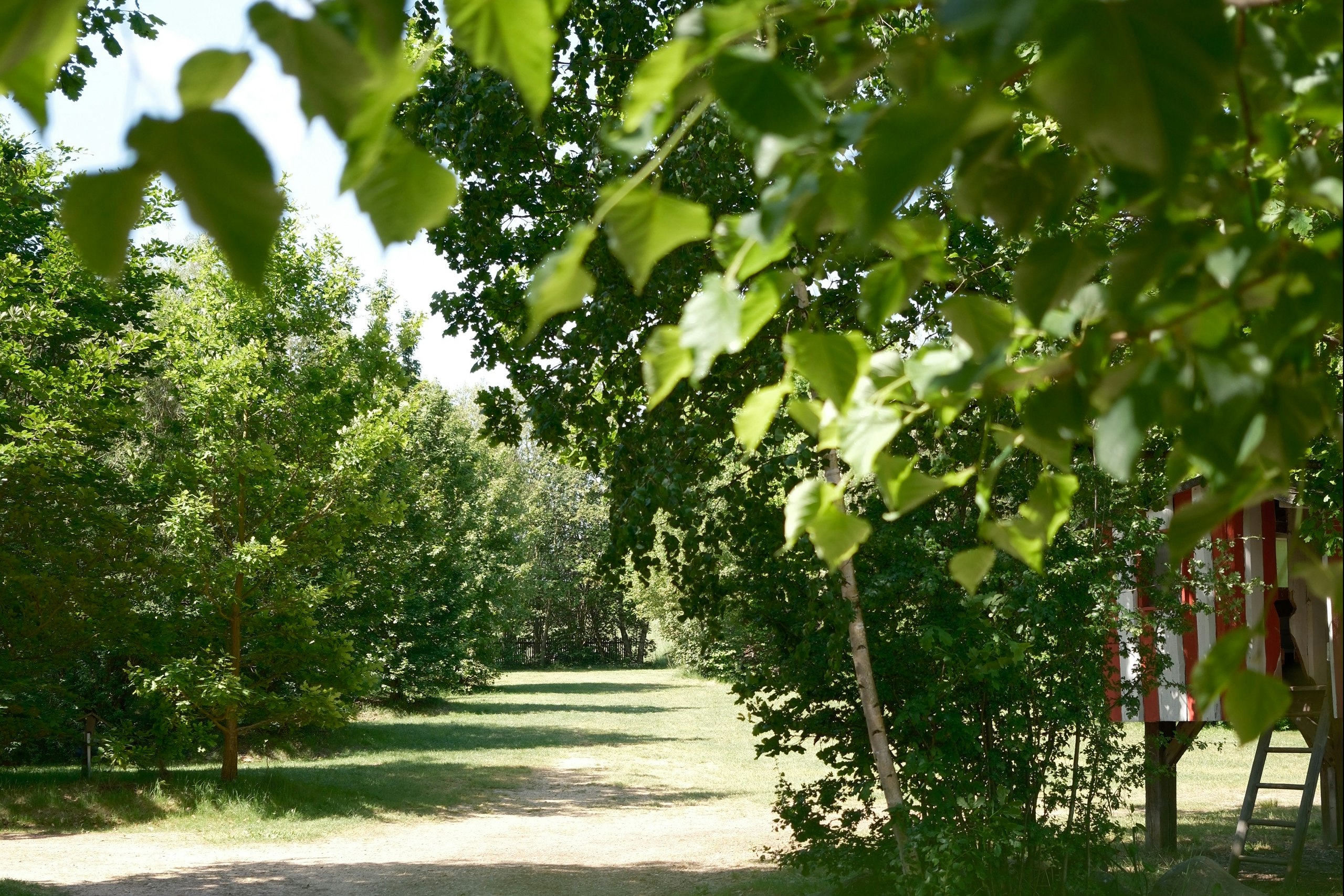 Volksbadcamp Ruppersdorf  - Blick auf die Zeltwiese des Campingplatzes