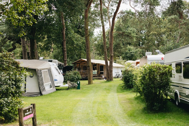 Vakantiepark Beerze Bulten (foto 1, bron: ANWB Camping)