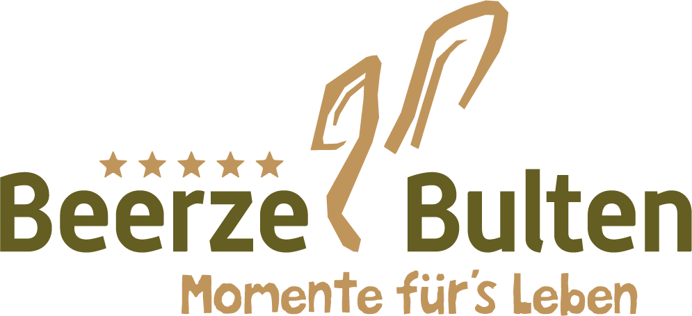 Ferienpark Beerze Bulten