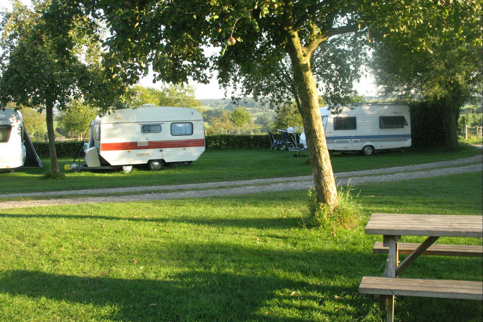 Camping Waalheimerfarm - Blick auf die Standplätze auf der Wiese