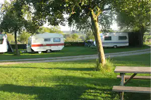 Camping Waalheimerfarm - Blick auf die Standplätze auf der Wiese