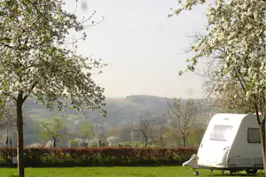 Camping Waalheimerfarm - Standplätze auf dem Campingplatz