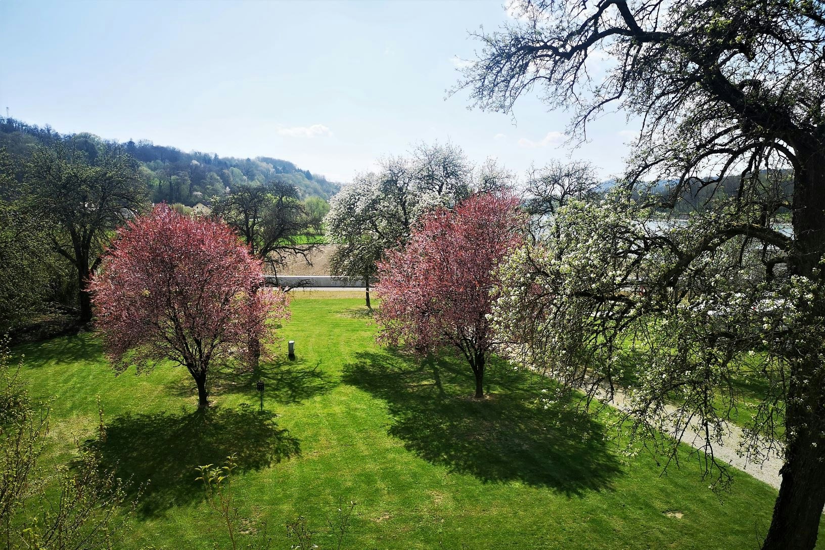 Wachau Camping Schönbühel - Blick auf die Standplätze im Frühling mit blühenden Bäumen