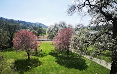 Wachau Camping Schönbühel