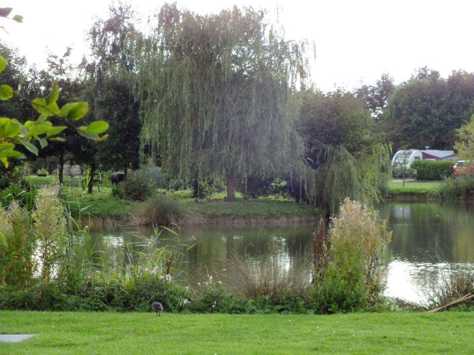Wagtail Country Park