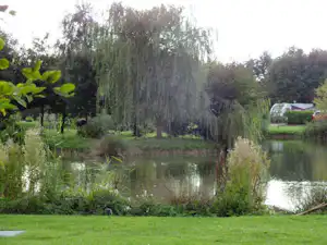 Wagtail Country Park