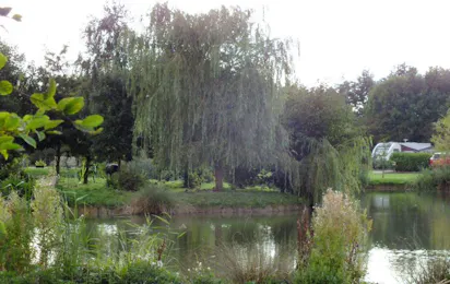 Wagtail Country Park