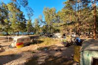 Wake and Camp - Zelt- und Wohnwagenstellplatz zwischen den Bäumen mit Blick auf den See