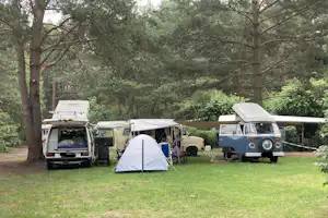 Wald- & Naturcampingplatz am Tonsee Süd - Campingwagon auf der Wiese