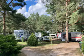 Wald- & Naturcampingplatz am Tonsee Süd