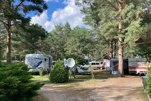 Wald- & Naturcampingplatz am Tonsee Süd