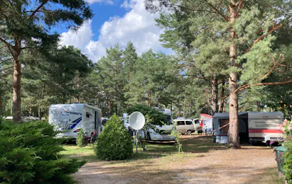 Wald- & Naturcampingplatz am Tonsee Süd