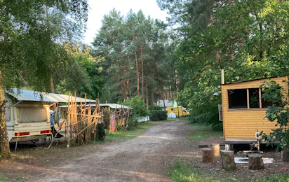 Wald- & Naturcampingplatz am Tonsee Süd
