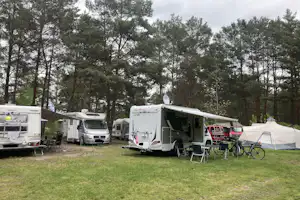 Wald- & Naturcampingplatz am Tonsee Süd - Wohnmobil Stellplaetze im gruenen auf dem Campingplatz