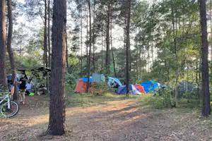 Wald- & Naturcampingplatz am Tonsee Süd - Zeltstellflächen