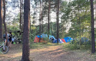 Wald- & Naturcampingplatz am Tonsee Süd