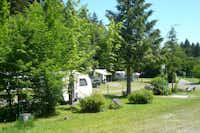 Waldbad Camping Isny -  Wohnwagen- und Zeltstellplatz auf dem Campingplatz
