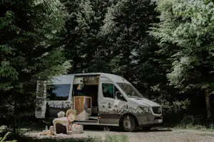 Waldbad Isny - Standplätze zwischen den Bäumen auf dem Campingplatz