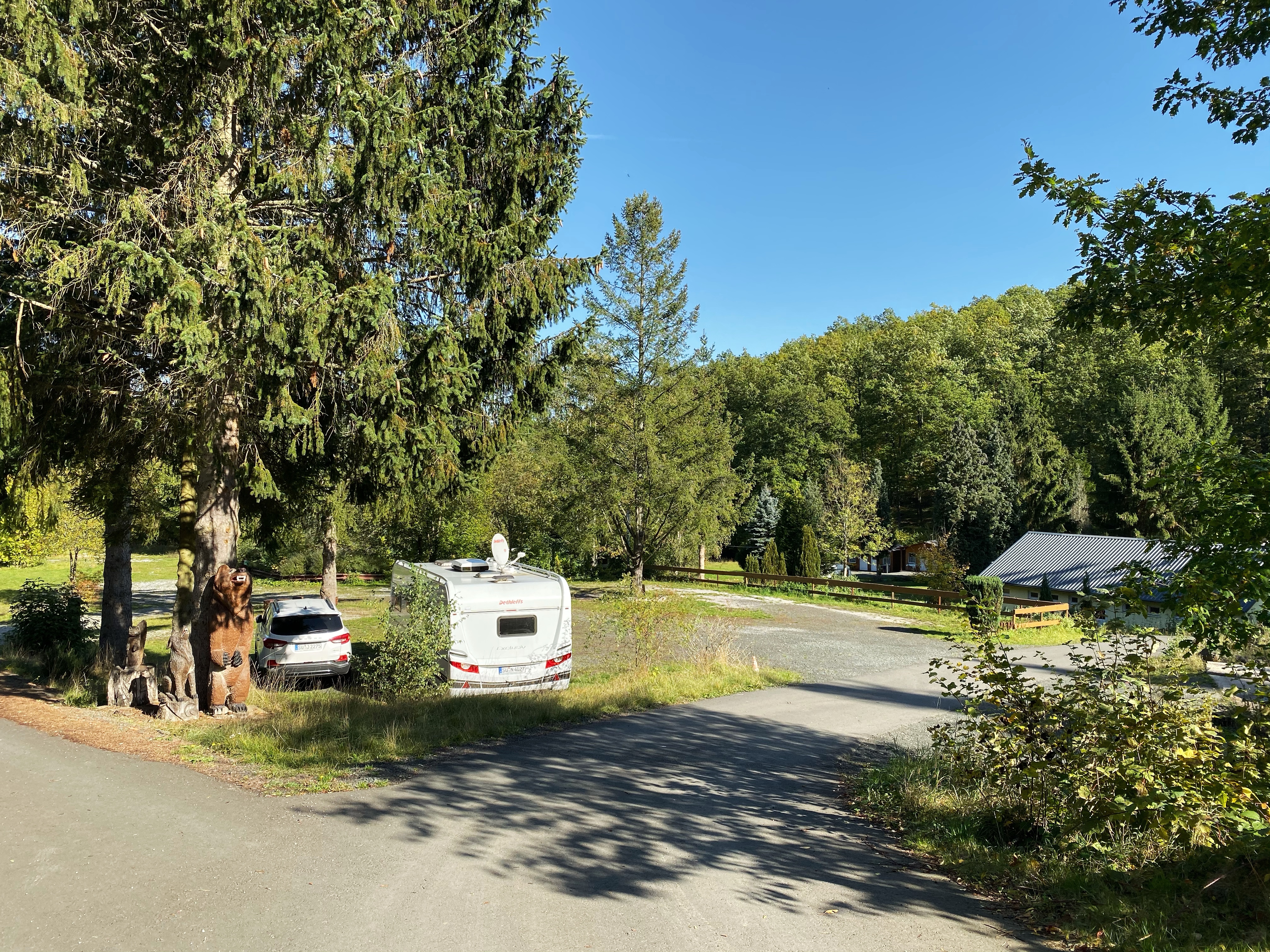 Waldcamp Meerbornsheide - Standplatz - 1.JPG