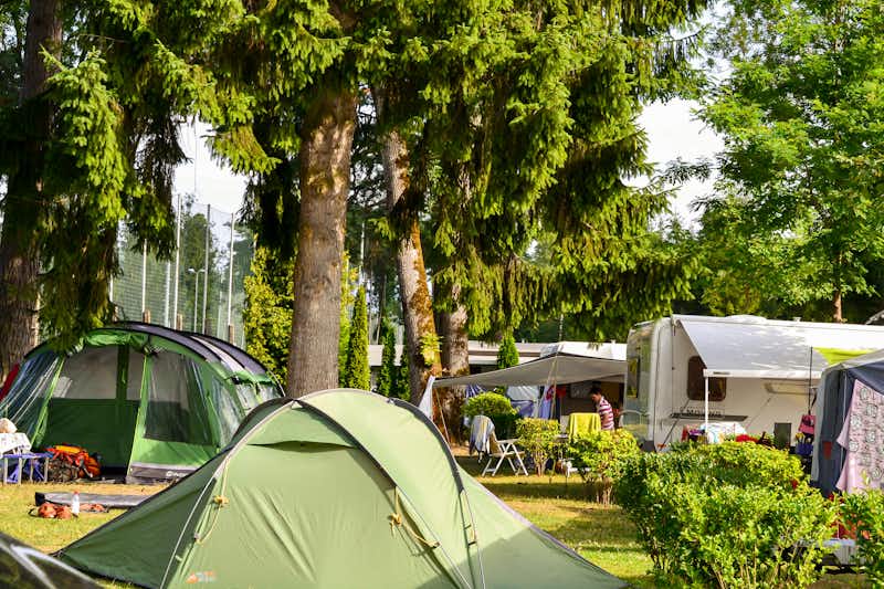 Waldcamping -  Wohnwagen- und Zeltstellplatz mit Zelten und Wohnwägen  zwischen Bäumen