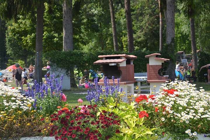 Waldcamping - öffentliche Grillplätze auf dem Platz
