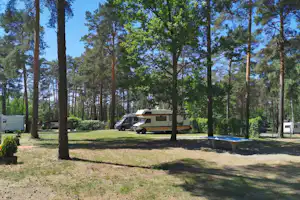 Waldcamping Am Großsee - Wohnmobil- und Wohnwagenstellplätze