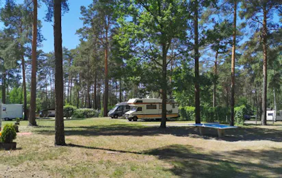 Waldcamping Am Großsee