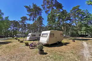 Waldcamping Am Großsee - Wohnmobil- und Wohnwagenstellplätze