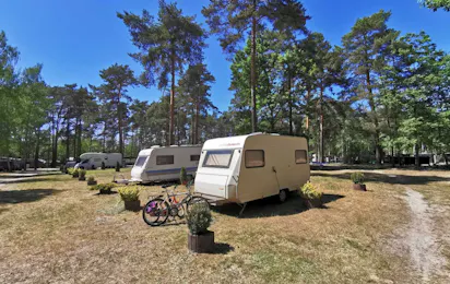 Waldcamping Am Großsee